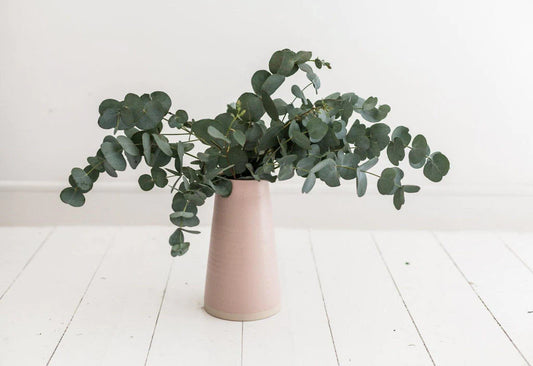 Eucalyptus Plant in Self-Care: The Aroma of Wellness