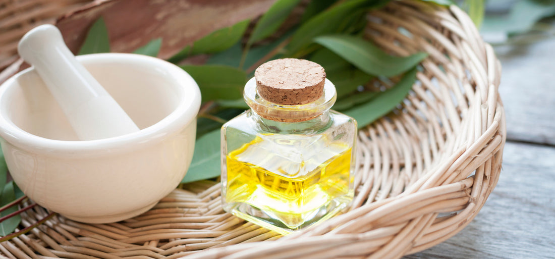 Unlocking the Beauty Secrets of Eucalyptus Oil for Skin and Hair Care