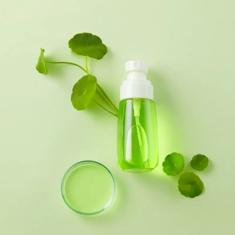 Pennywort Plant in Skincare: Radiant Skin Through Natural Remedies